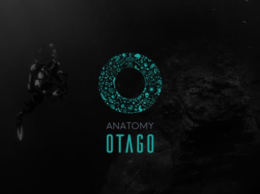 Anatomy Otago